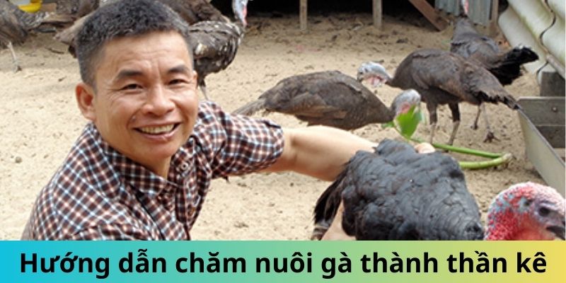 Giống Gà Nam Mỹ - Gọi Tên Những Chiến Kê Mạnh Mẽ Hàng Đầu 3 Trang Chủ Jun88.com #1 Việt Nam Hướng dẫn chăm sóc gà Nam Mỹ thành thần kê
