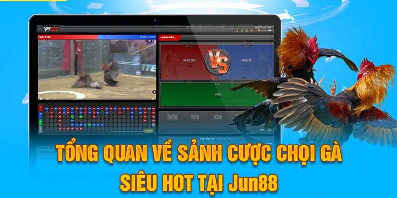 DIG Đá Gà - Sảnh Cược Chọi Gà Hấp Dẫn Hot Nhất 2024 3 Trang Chủ Jun88.com #1 Việt Nam Chất lượng phát trực tuyến đỉnh cao