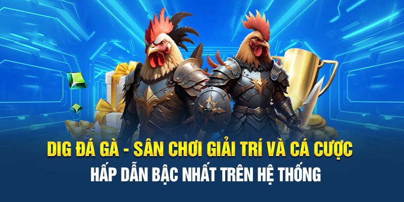 DIG Đá Gà - Sảnh Cược Chọi Gà Hấp Dẫn Hot Nhất 2024 1 Trang Chủ Jun88.com #1 Việt Nam Thưởng thức các trận đấu kịch tính trên nền tảng trực tuyến